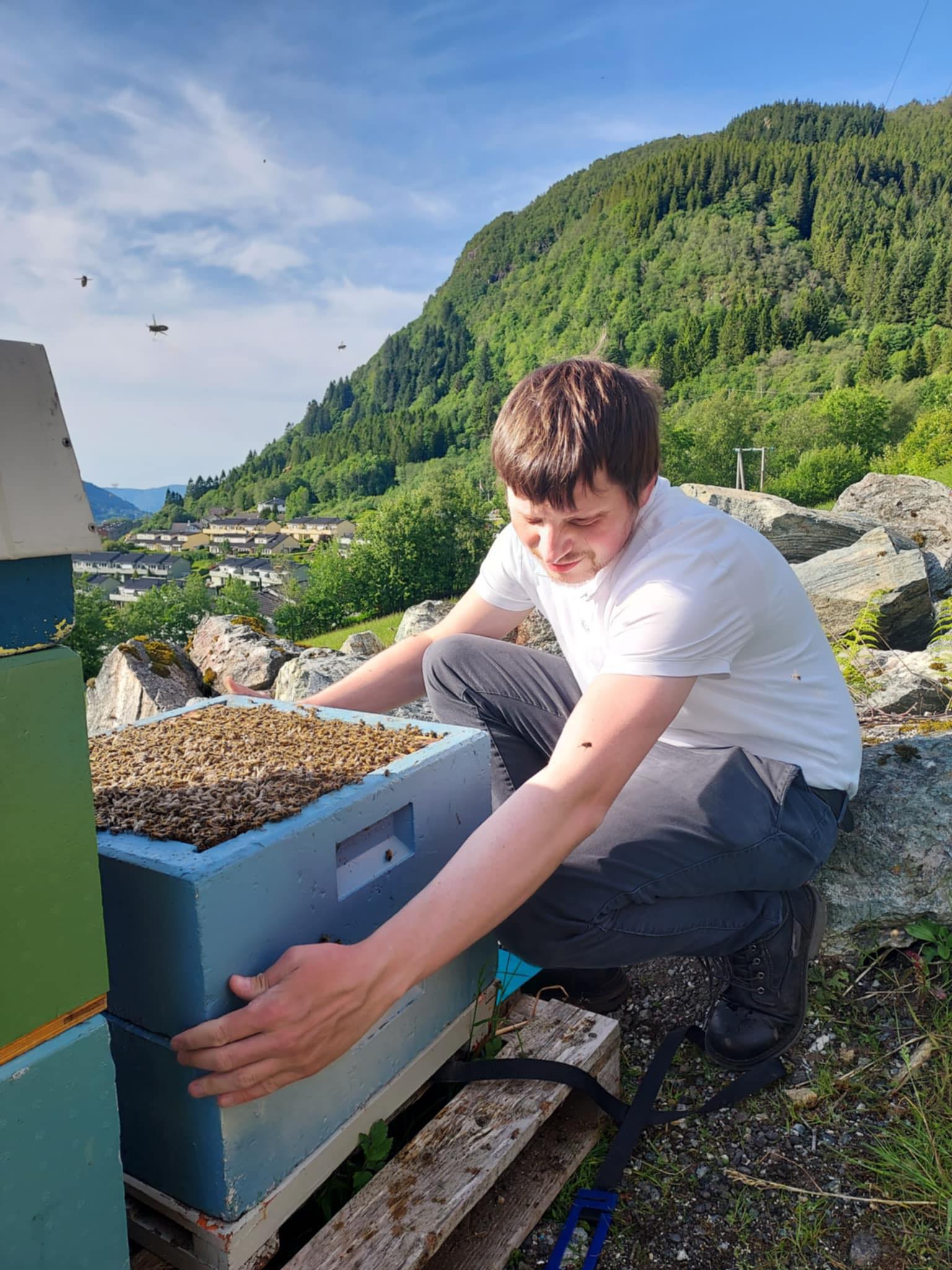 Martin som arbeider med en bikube over Bergen